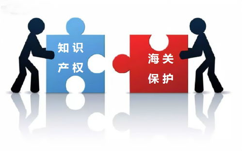 知識產權服務 專業(yè)護航創(chuàng)新的核心特點解析